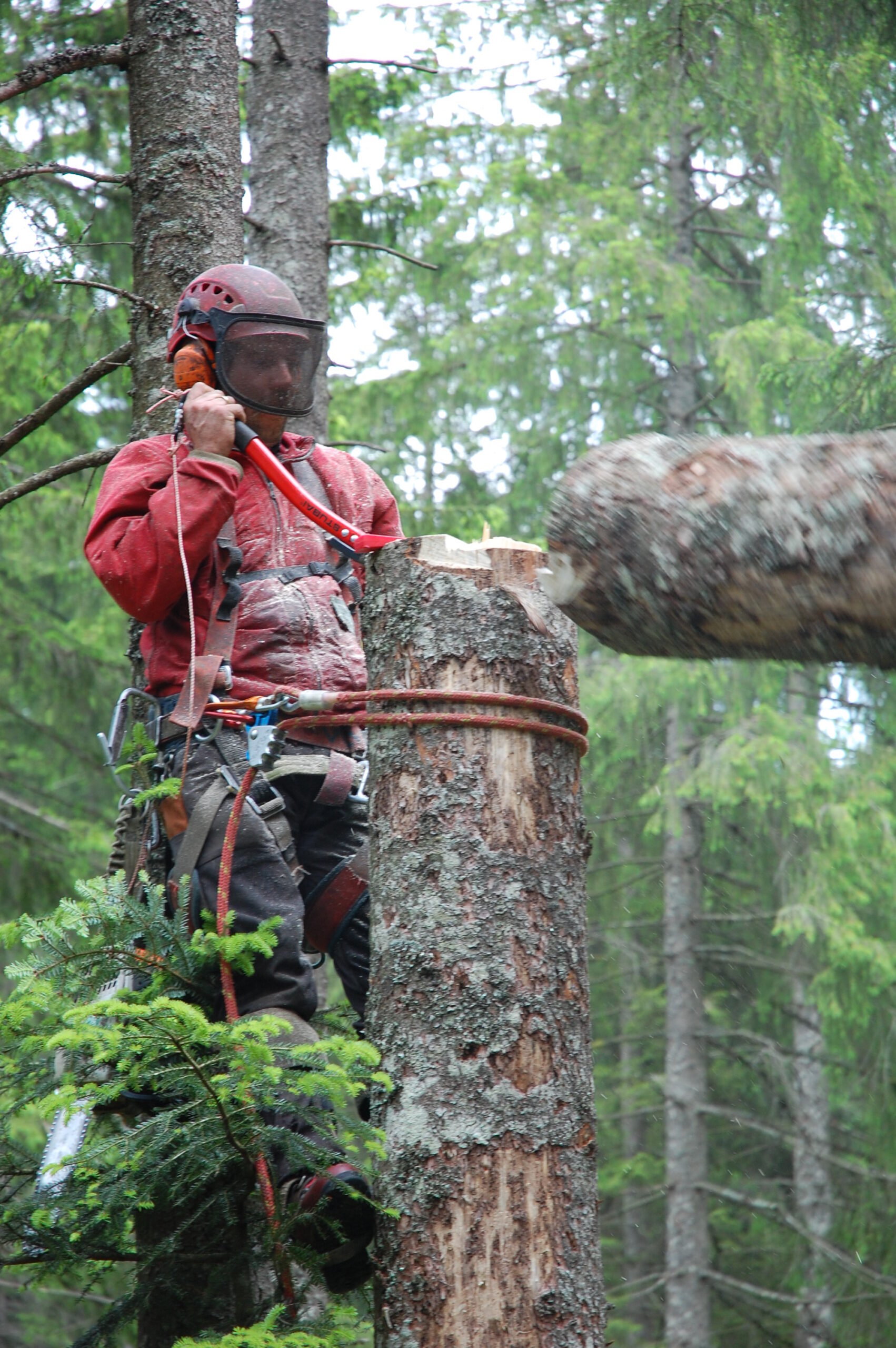 STUBAI FELLING LEVEL ALUMINIUM TREE TRIMMER - Image 2