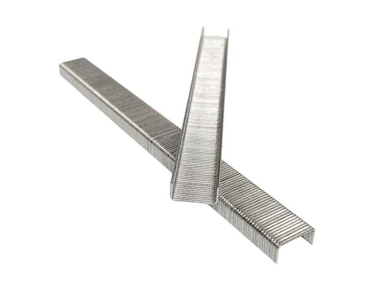 BEA 380/06 NK GALVANISED STAPLES - CHISEL CUT