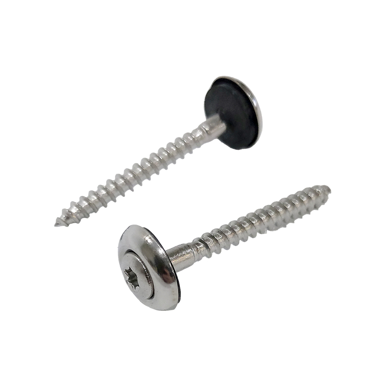 SPENGLER SCREWS 9087 TX20 - STAINLESS STEEL