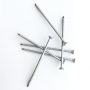 STAINLESS STEEL SCREWS COUNTERSUNK FOR TIMBER - Image 3
